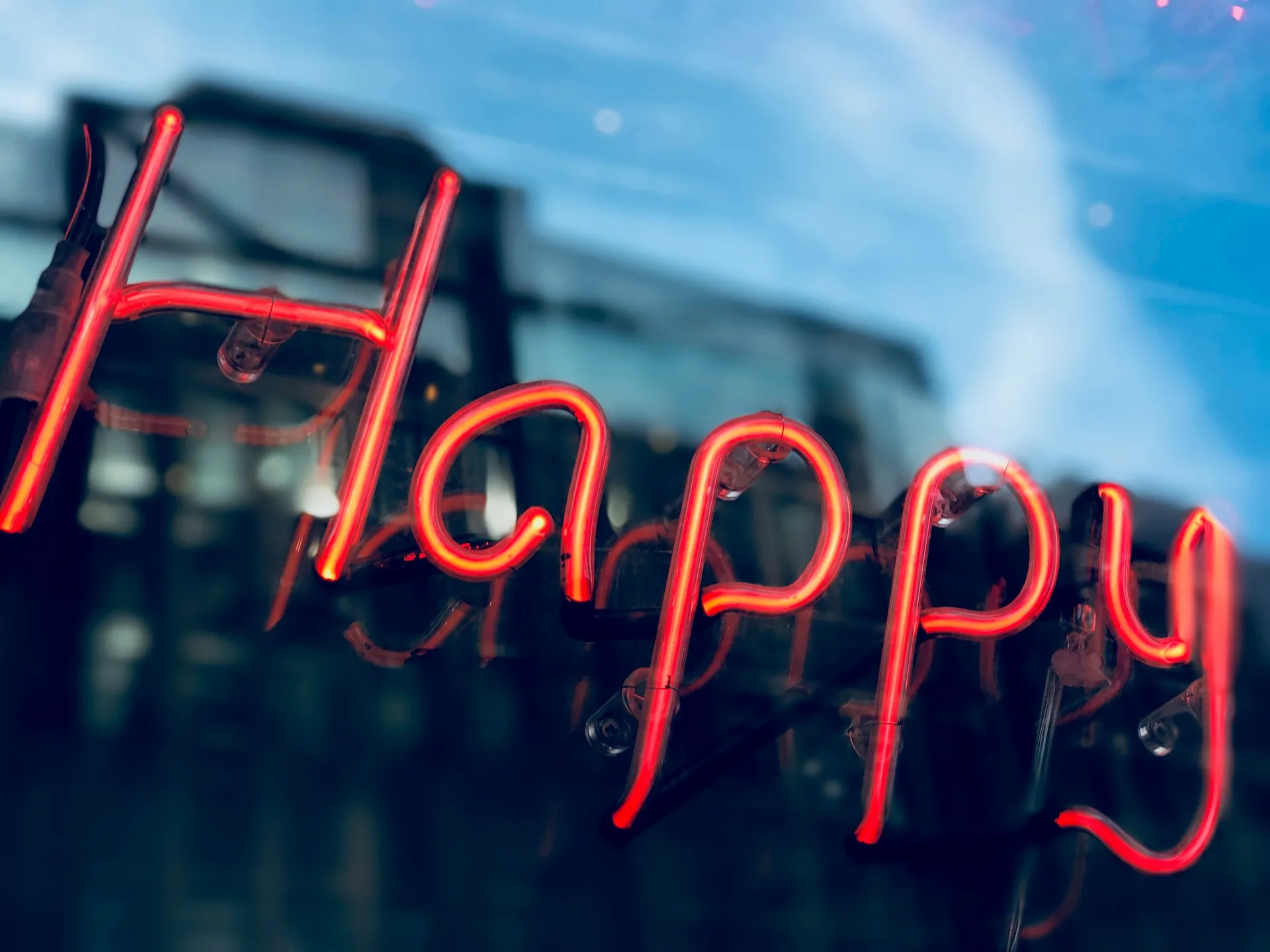 happy 5th house